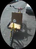 Add cusions for a handy bike taxi!