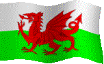 The World's most beautiful flag!! Even the Chinese haven't got a Dragon on theirs!